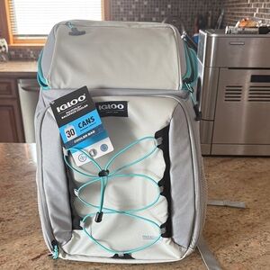 Igloo Silver and Teal Cooler Backpack